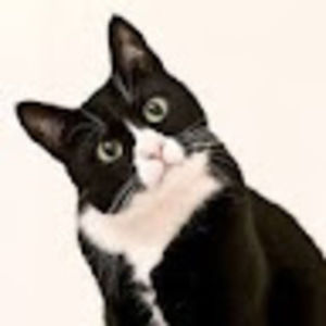 Meet your Posher, Mare